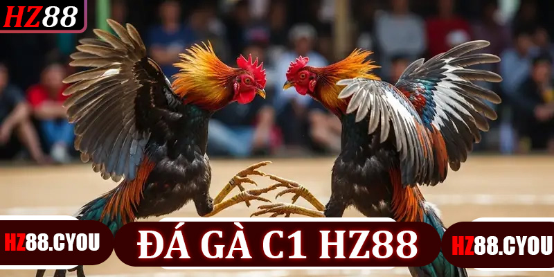 Đá Gà C1 HZ88: Chiến Thuật Thông Minh, Cơ Hội Nhận Thưởng Lớn - hz88.cyou - TERAJO.LIVE