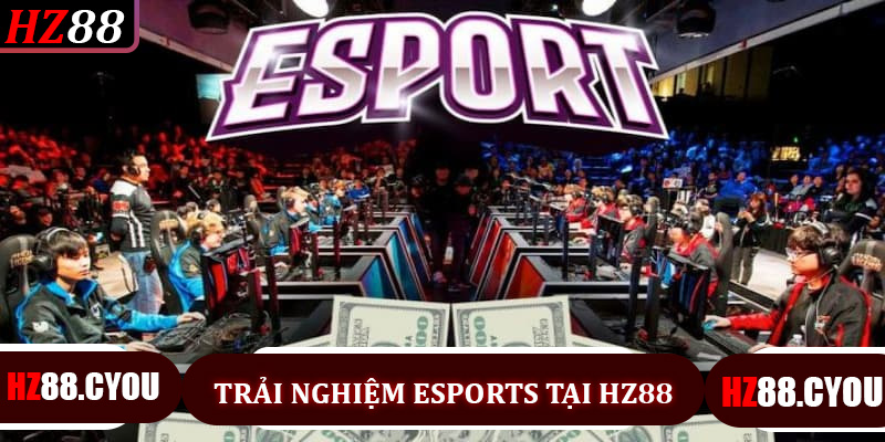 Trải Nghiệm Esports Tại HZ88 - Chiến Thuật Thắng Lớn Cho Người Chơi - hz88.cyou - TERAJO.LIVE