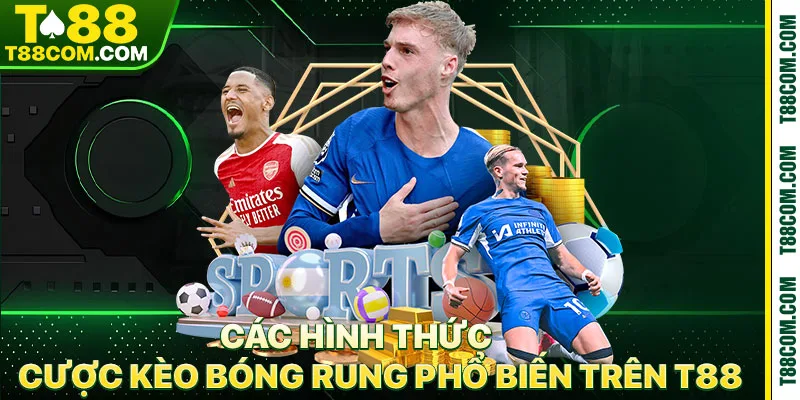 Kèo Bóng Rung T88 – Nghệ Thuật Săn Thưởng Chớp Nhoáng - TERAJO.LIVE