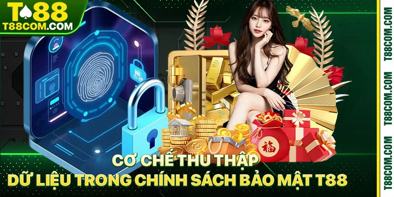 Chính Sách Bảo Mật T88 – Minh Bạch Và An Toàn Dữ Liệu - TERAJO.LIVE