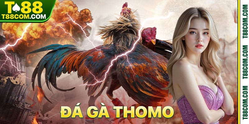 ĐÁ GÀ - t88 - TERAJO.LIVE