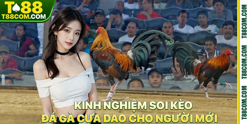 Đá Gà Cựa Dao – Cảm Giác Cực Mạnh Tại Nền Tảng T88 - TERAJO.LIVE