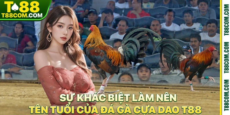 Đá Gà Cựa Dao – Cảm Giác Cực Mạnh Tại Nền Tảng T88 - TERAJO.LIVE