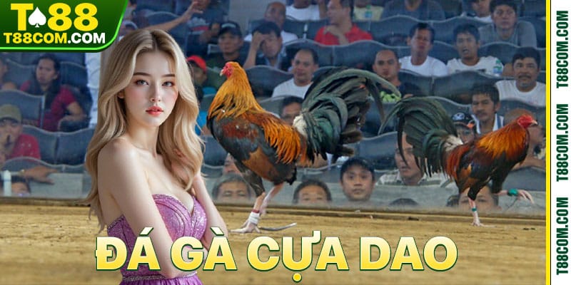 ĐÁ GÀ - t88 - TERAJO.LIVE